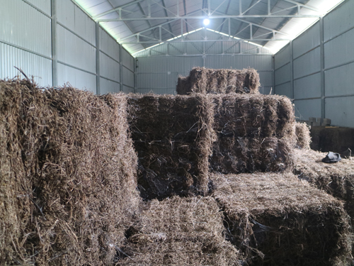 Nghị định thư ngày 8/12/2020 giữa Bộ Nông nghiệp và Phát triển nông thôn Việt Nam và Tổng cục Hải quan Trung Quốc về xuất khẩu chính ngạch thạch đen sang Trung Quốc